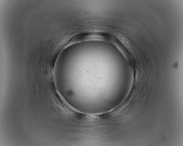 X0000090450429200707201317