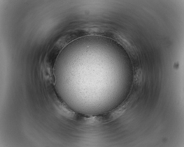 X0000090450430200707201317