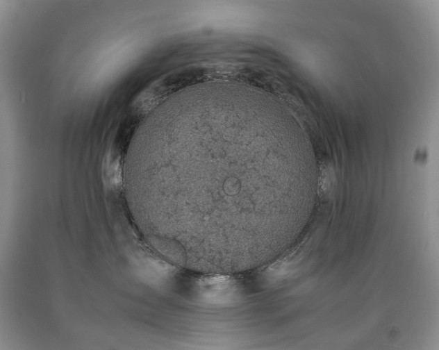 X0000090450431200707201317