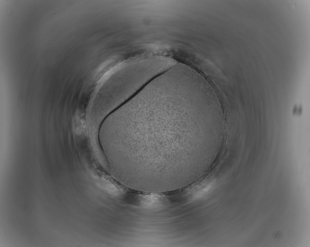 X0000090450432200707201317