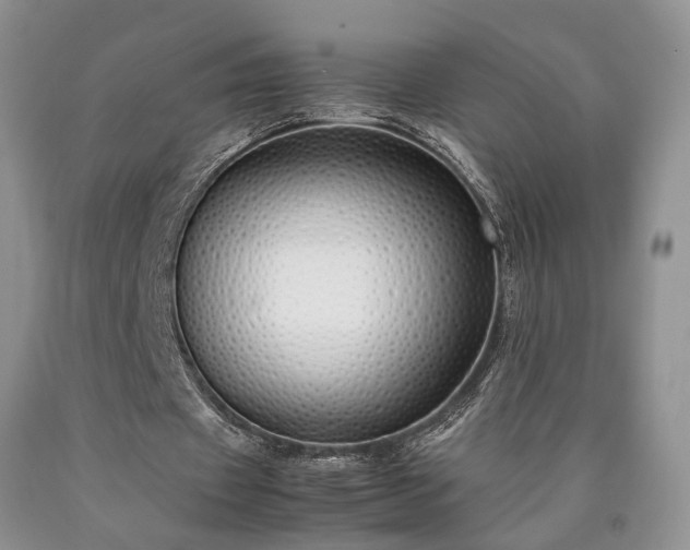 X0000090450433200707201317