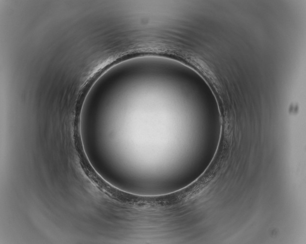 X0000090450434200707201317