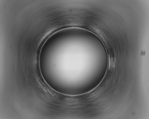 X0000090450435200707201317