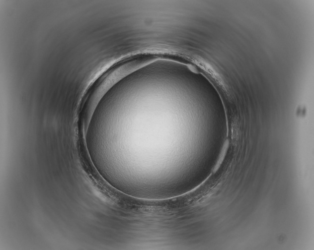 X0000090450436200707201317