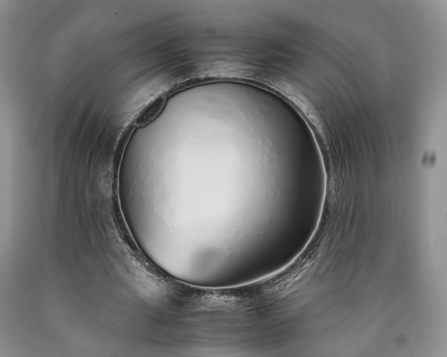 X0000090450437200707201317