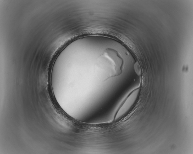 X0000090450438200707201317