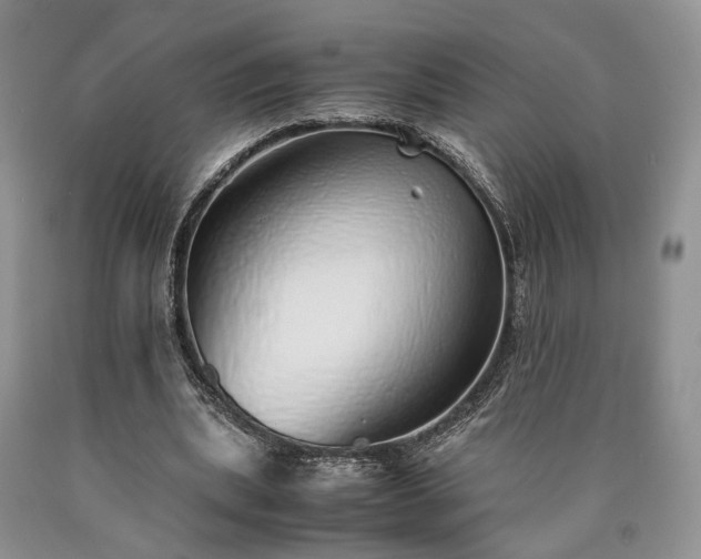 X0000090450439200707201317