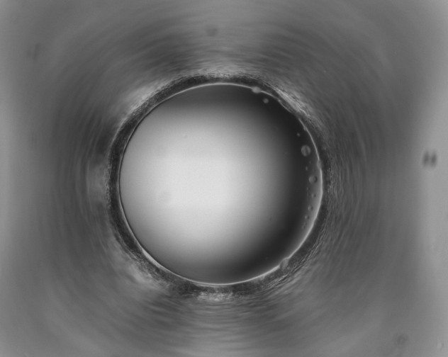 X0000090450440200707201317