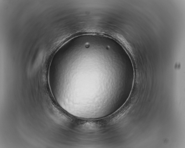 X0000090450441200707201317