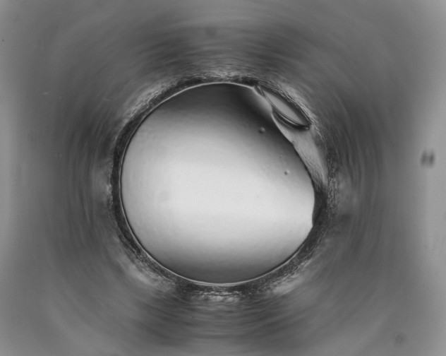 X0000090450443200707201317