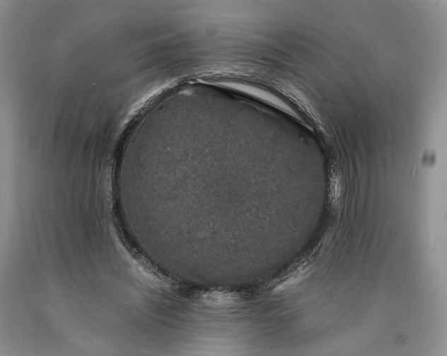 X0000090450444200707201317