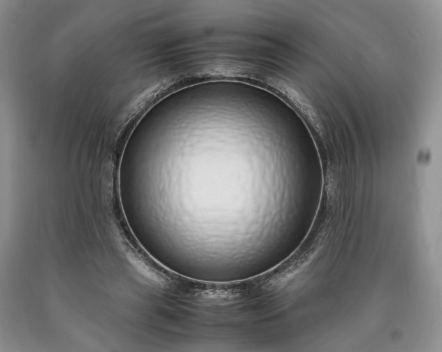 X0000090450445200707201317