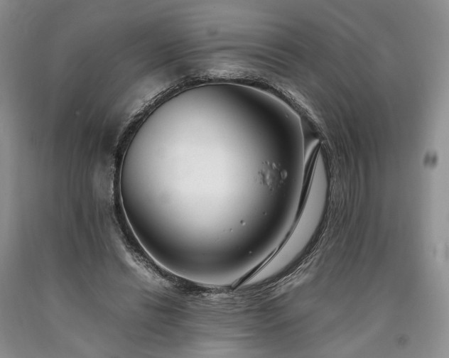 X0000090450446200707201317