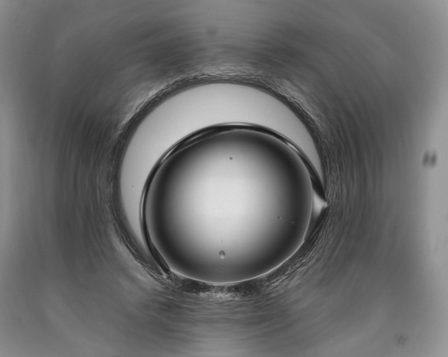 X0000090450448200707201317