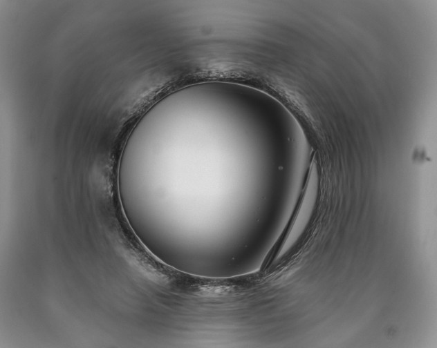 X0000090450450200707201317