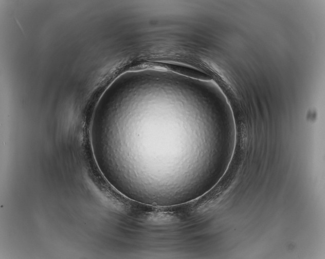 X0000090450451200707201317