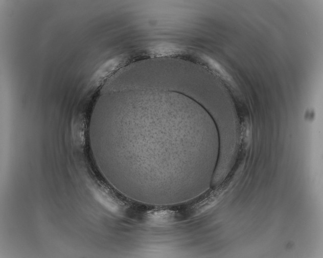 X0000090450452200707201317