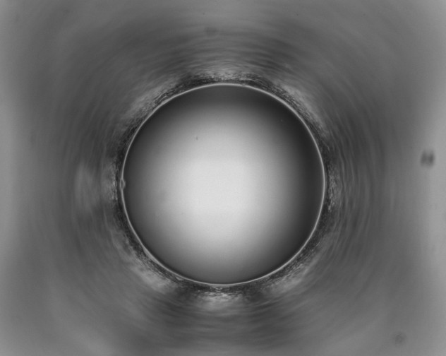 X0000090450453200707201317