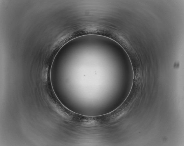 X0000090450454200707201317