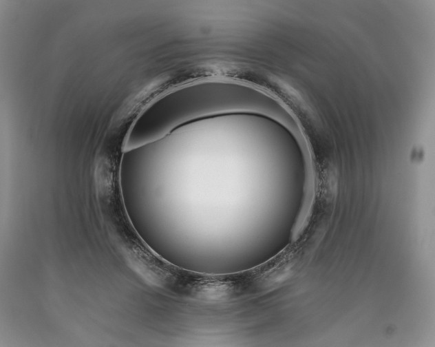 X0000090450456200707201317