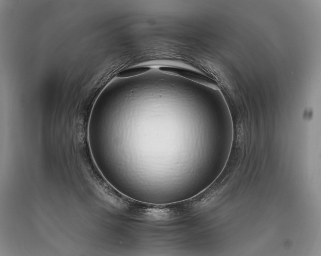 X0000090450457200707201317