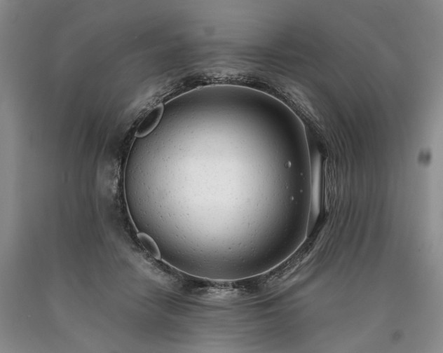 X0000090450458200707201317