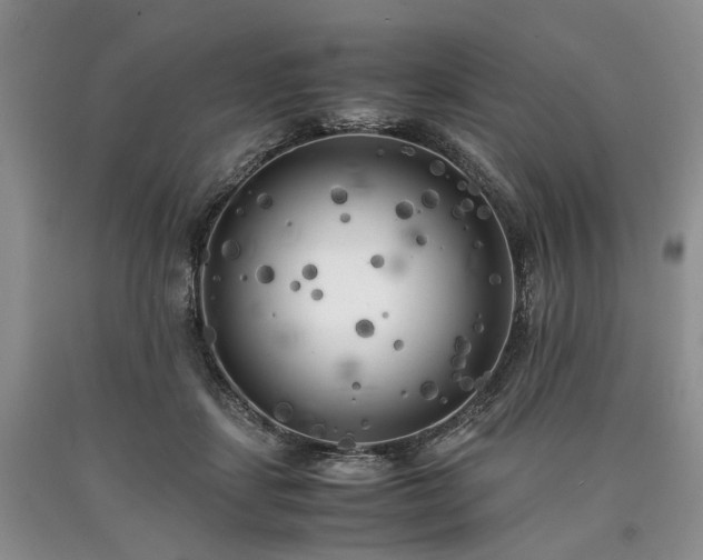 X0000090450459200707201317