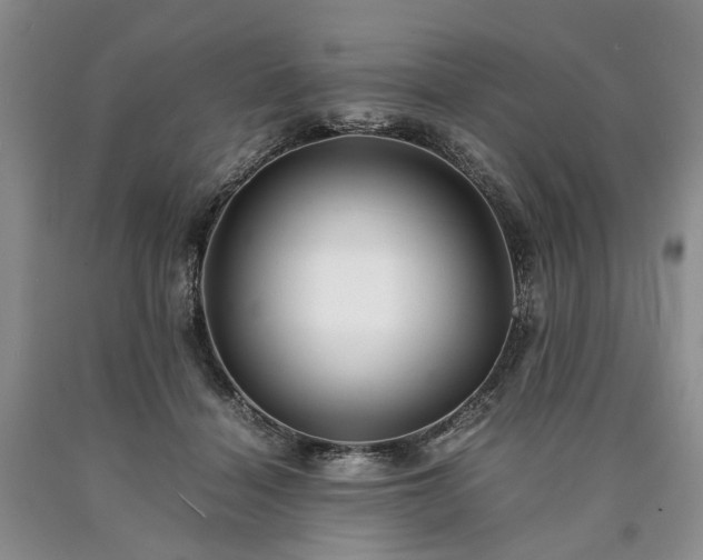 X0000090450460200707201317