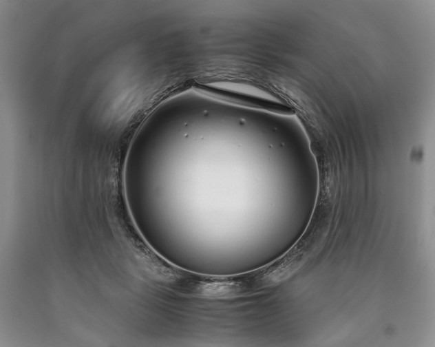 X0000090450461200707201317