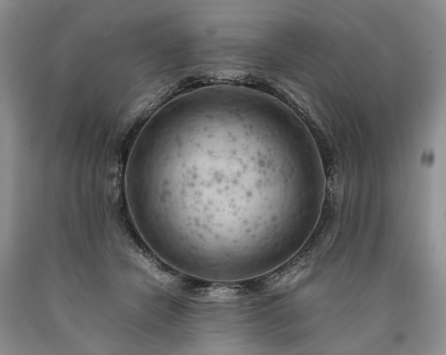 X0000090450462200707201317