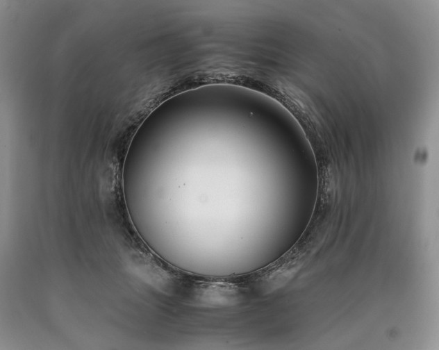 X0000090450463200707201317