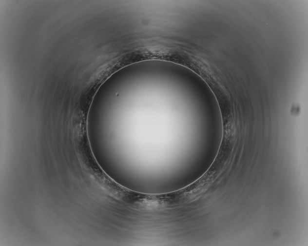 X0000090450464200707201317