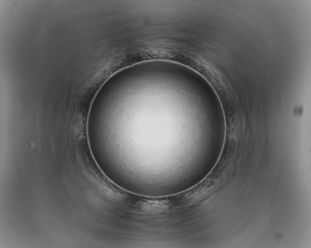 X0000090450465200707201317