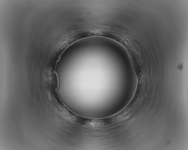 X0000090450466200707201317