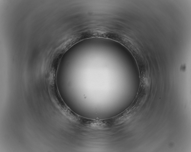 X0000090450468200707201317