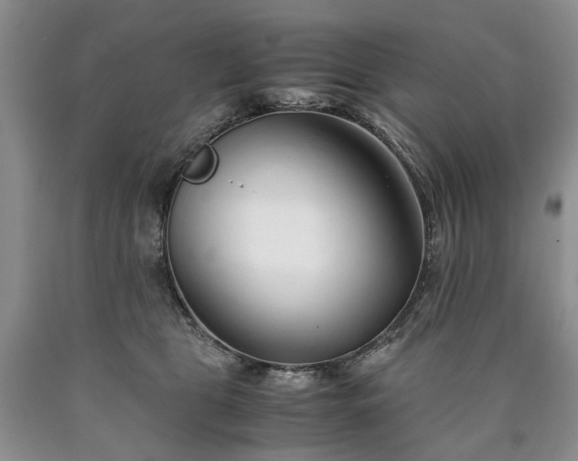 X0000090450469200707201317