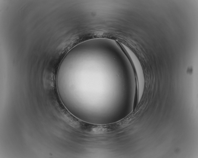 X0000090450470200707201317