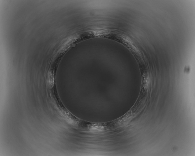 X0000090450471200707201317