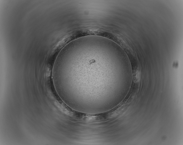 X0000090450472200707201317