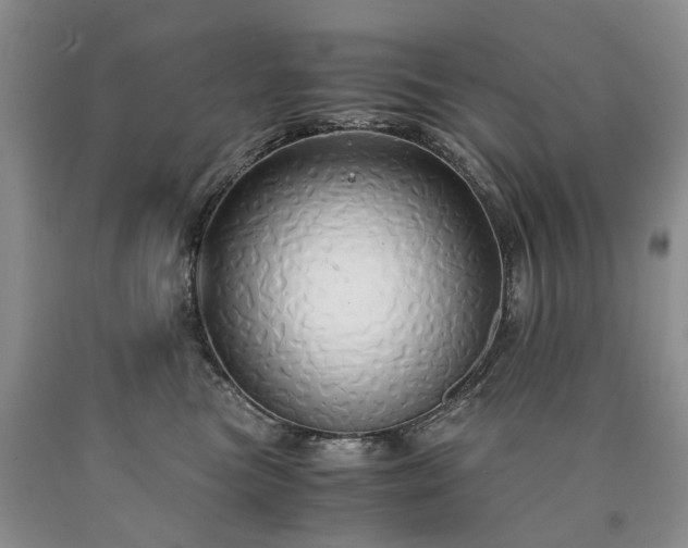 X0000090450473200707201317