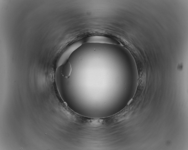 X0000090450474200707201317