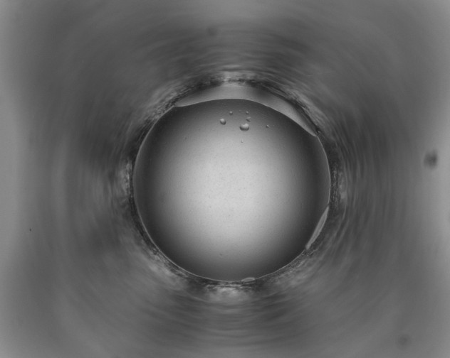 X0000090450475200707201317