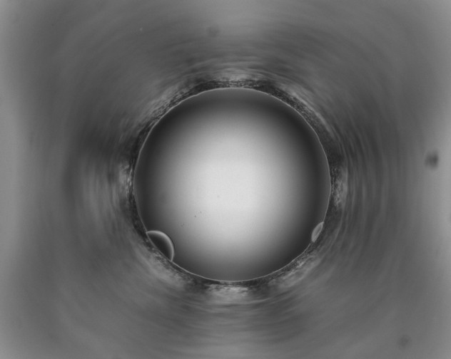 X0000090450476200707201317