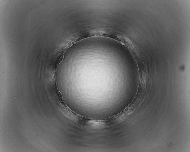 X0000090450477200707201317