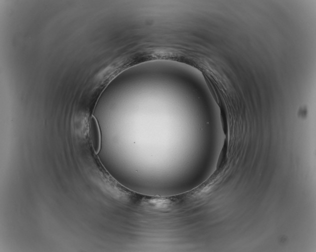 X0000090450478200707201317