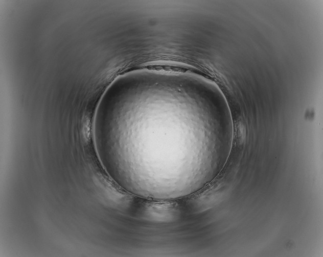 X0000090450479200707201317