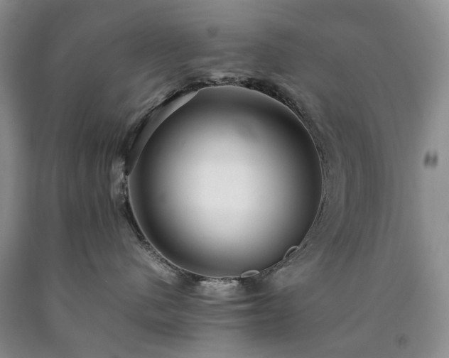 X0000090450480200707201317