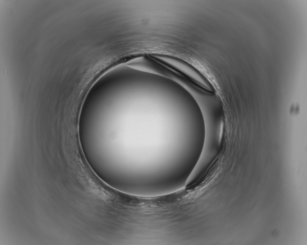 X0000090450481200707201317