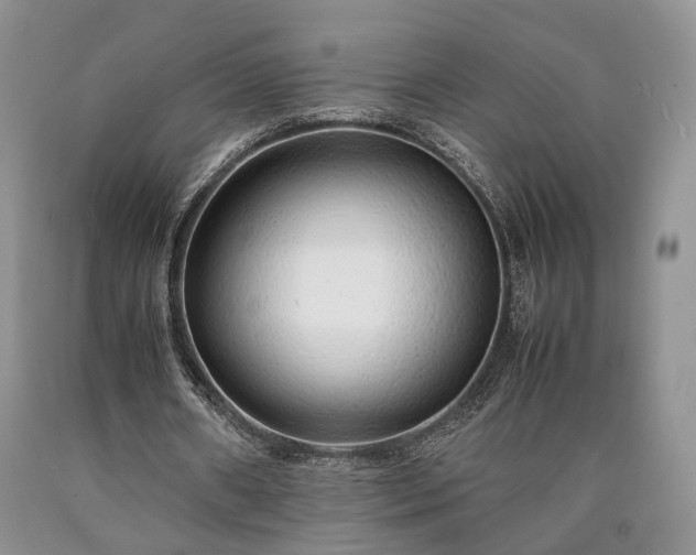 X0000090450482200707201317