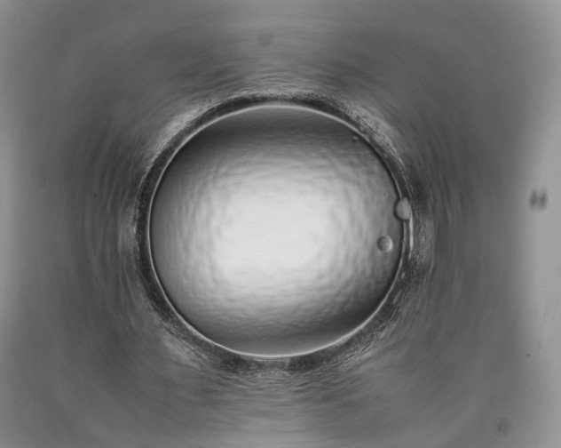 X0000090450483200707201317